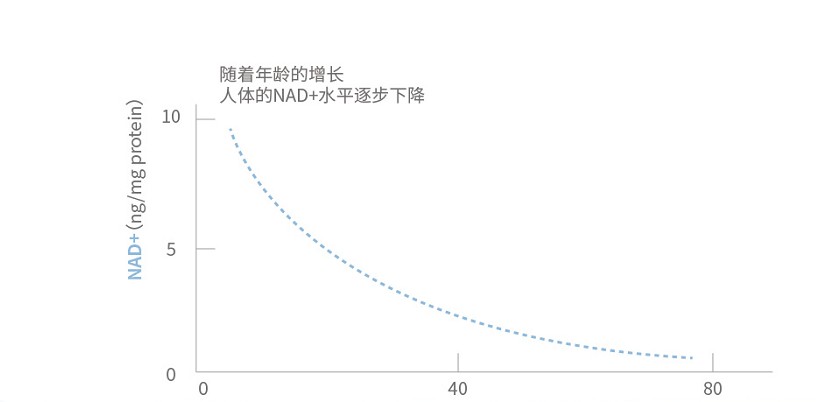 预告|赛立复赴深圳健康大会分享最新抗衰科技，大咖云集，盛况空前